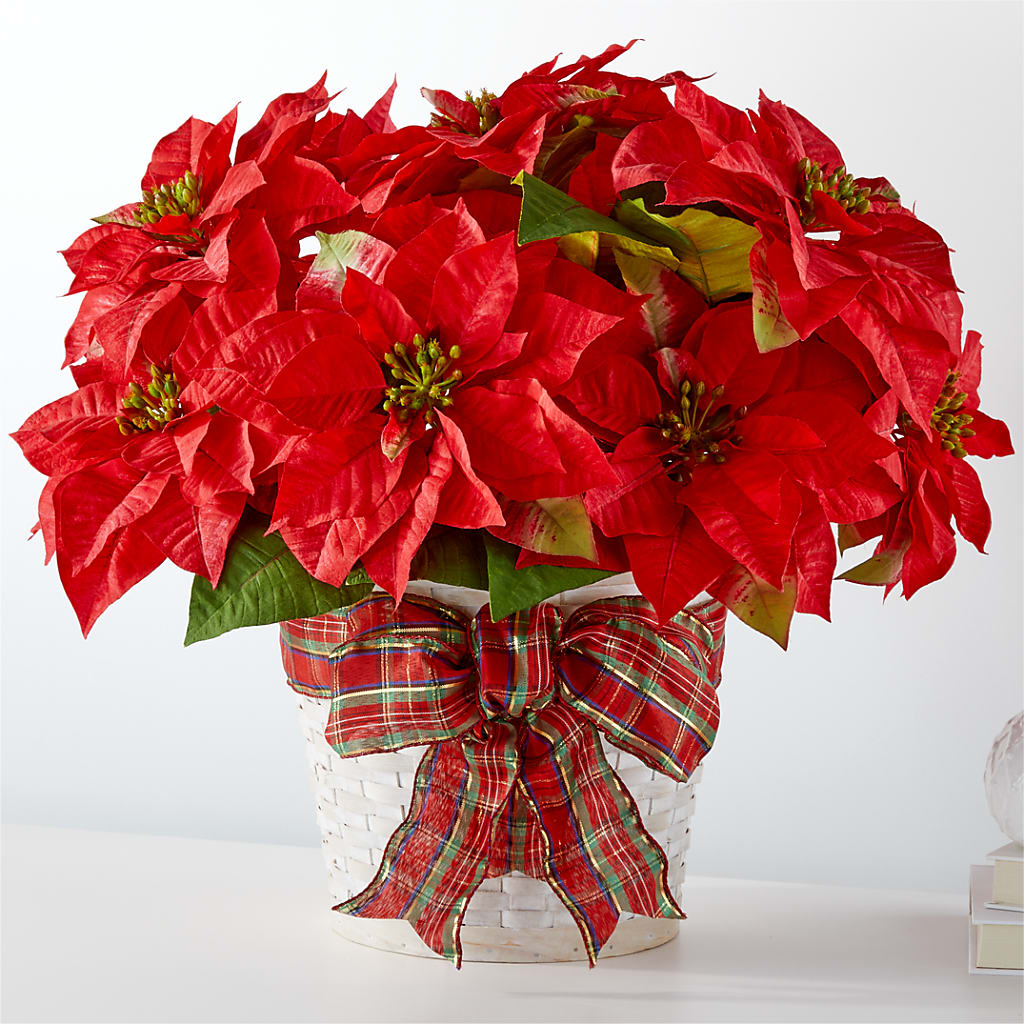 Happiest Holidays Poinsettia – Tinys Flowers, Lansing IL
