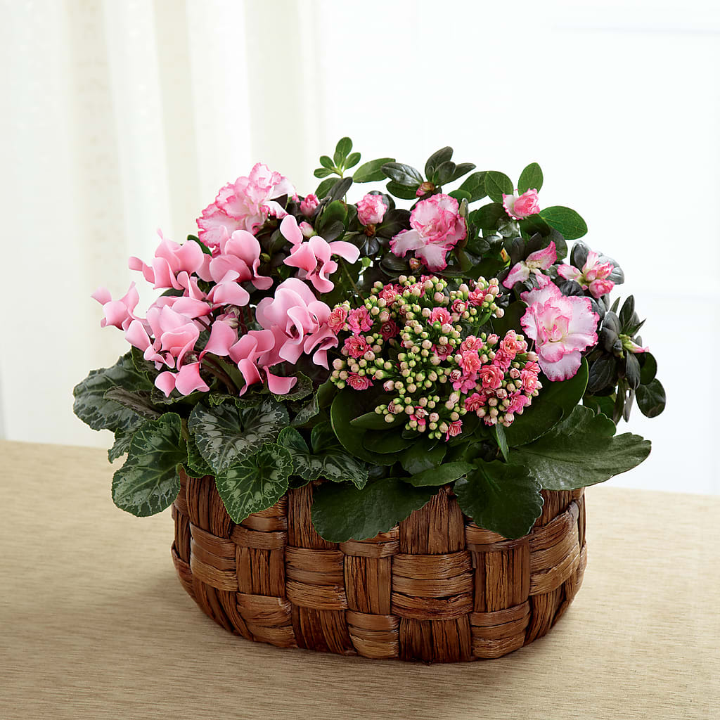 Pink Assortment – Tinys Flowers, Lansing IL