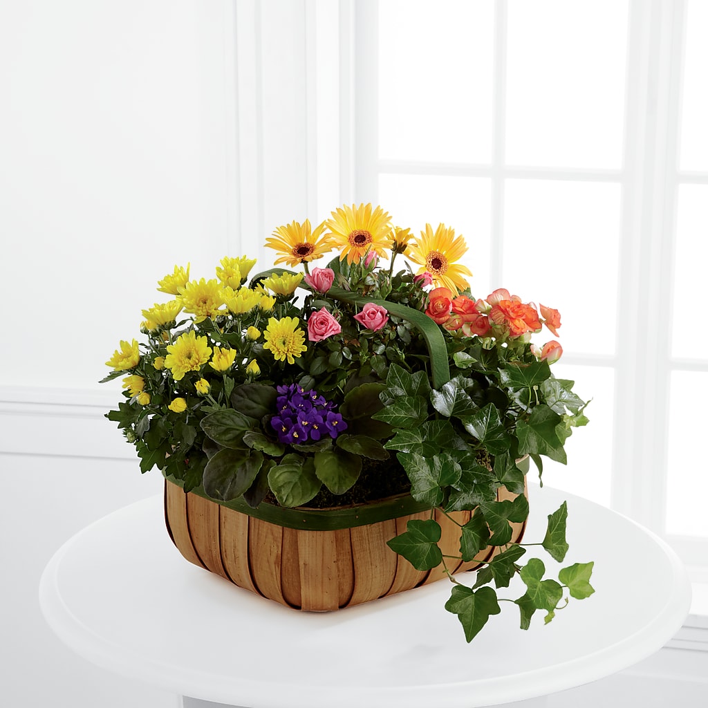 Gentle Blossoms Basket – Tinys Flowers, Lansing IL