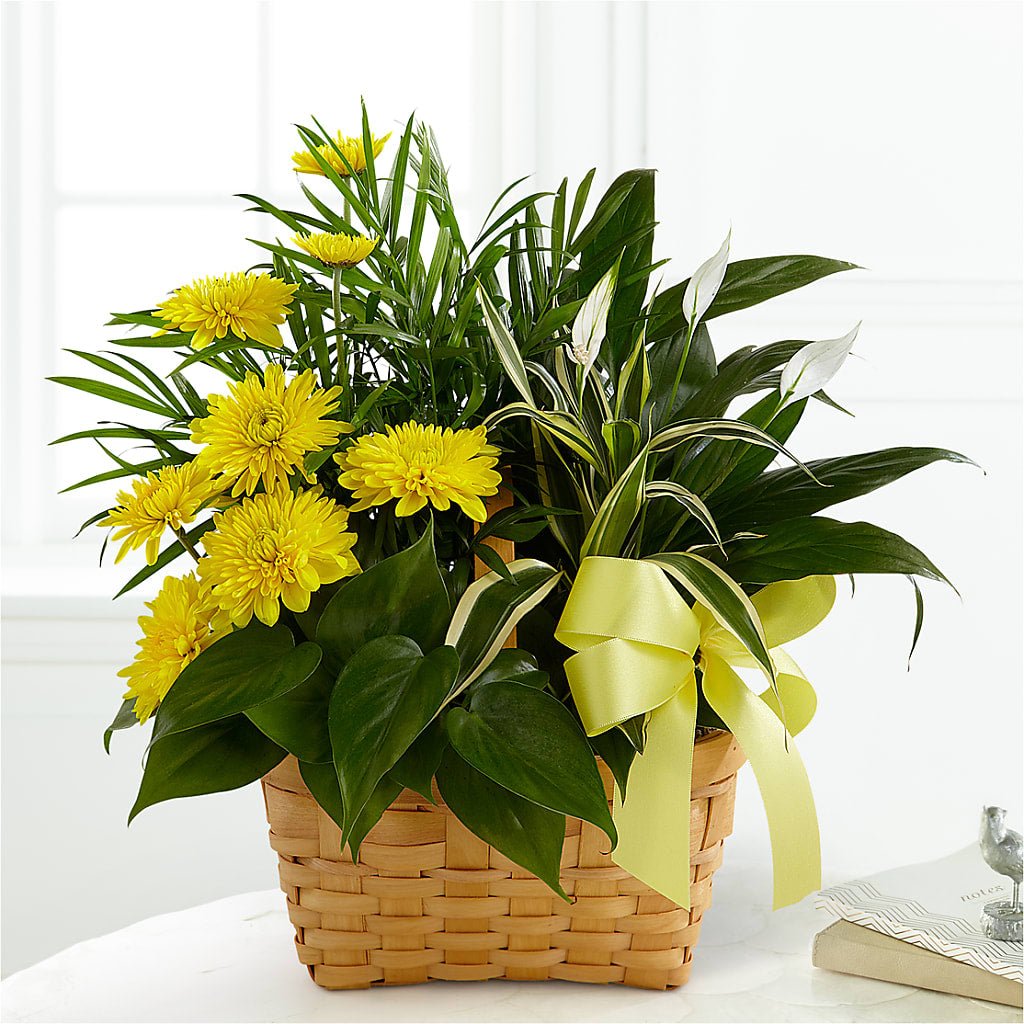 Loving Light Dishgarden – Tinys Flowers, Lansing IL