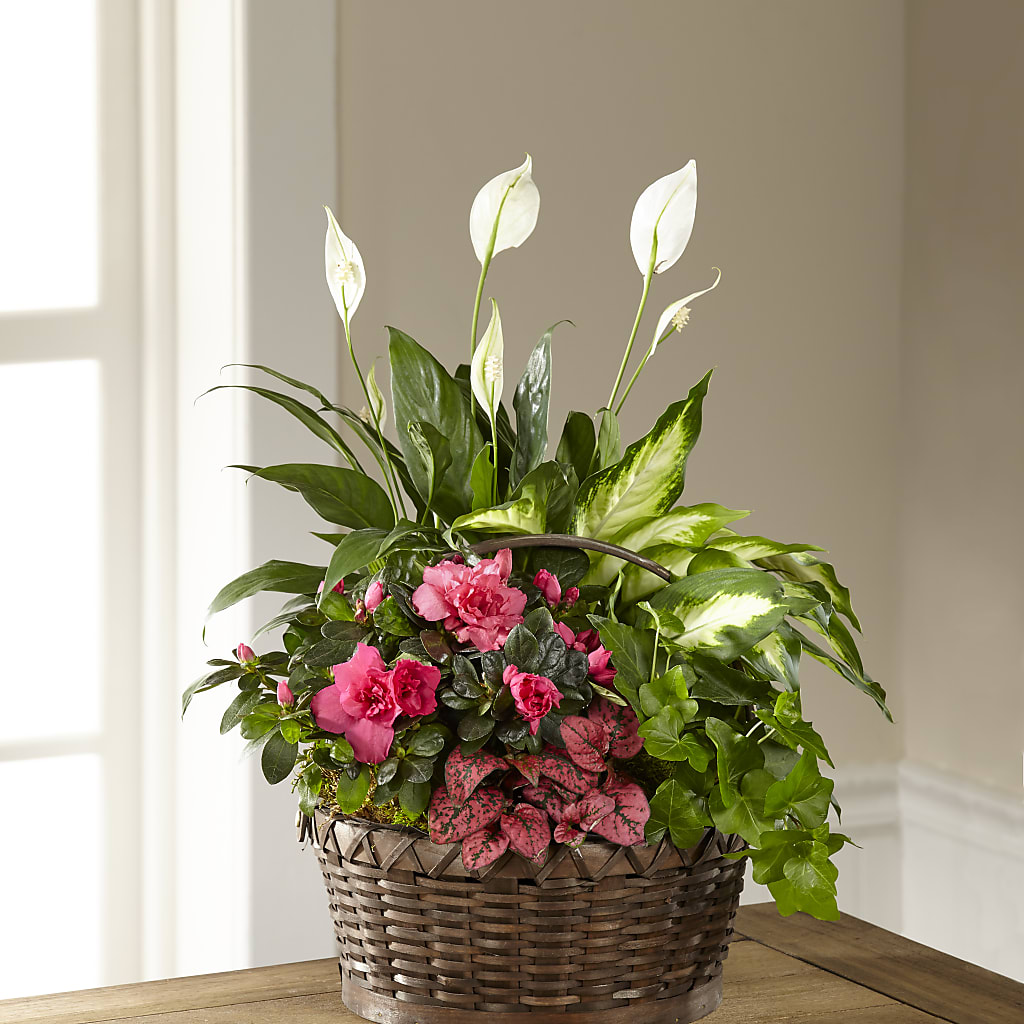 Dream in Pink Dishgarden – Tinys Flowers, Lansing IL
