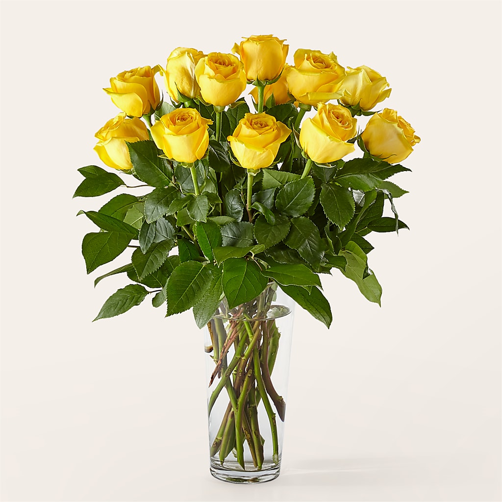 Long Stem Yellow Rose Bouquet – Tinys Flowers, Lansing IL