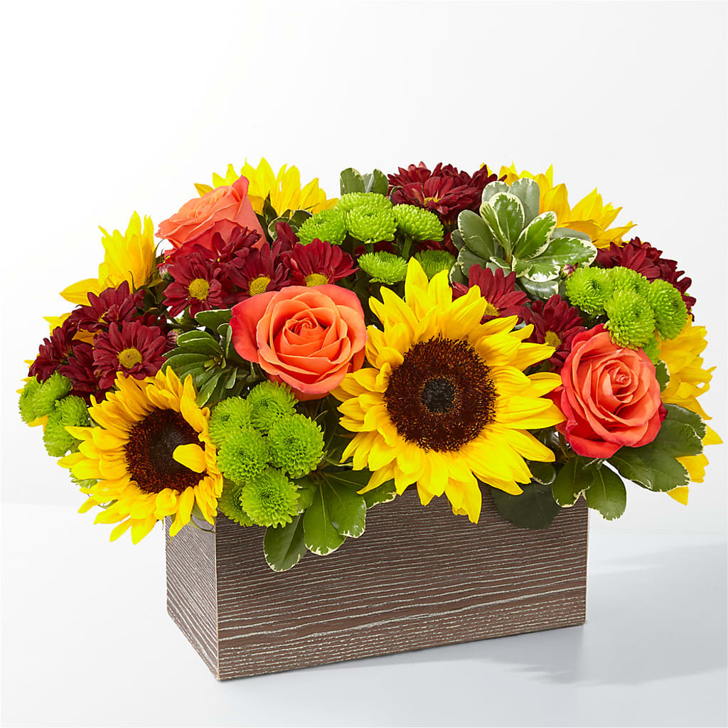 Happy Harvest Garden – Tinys Flowers, Lansing IL
