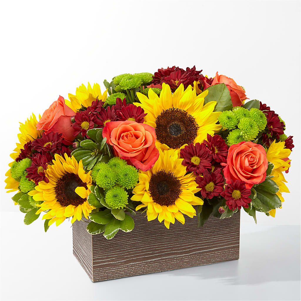 Happy Harvest Garden – Tinys Flowers, Lansing IL