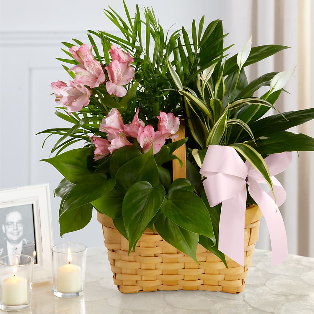 Living Spirit Dishgarden – Tinys Flowers, Lansing IL