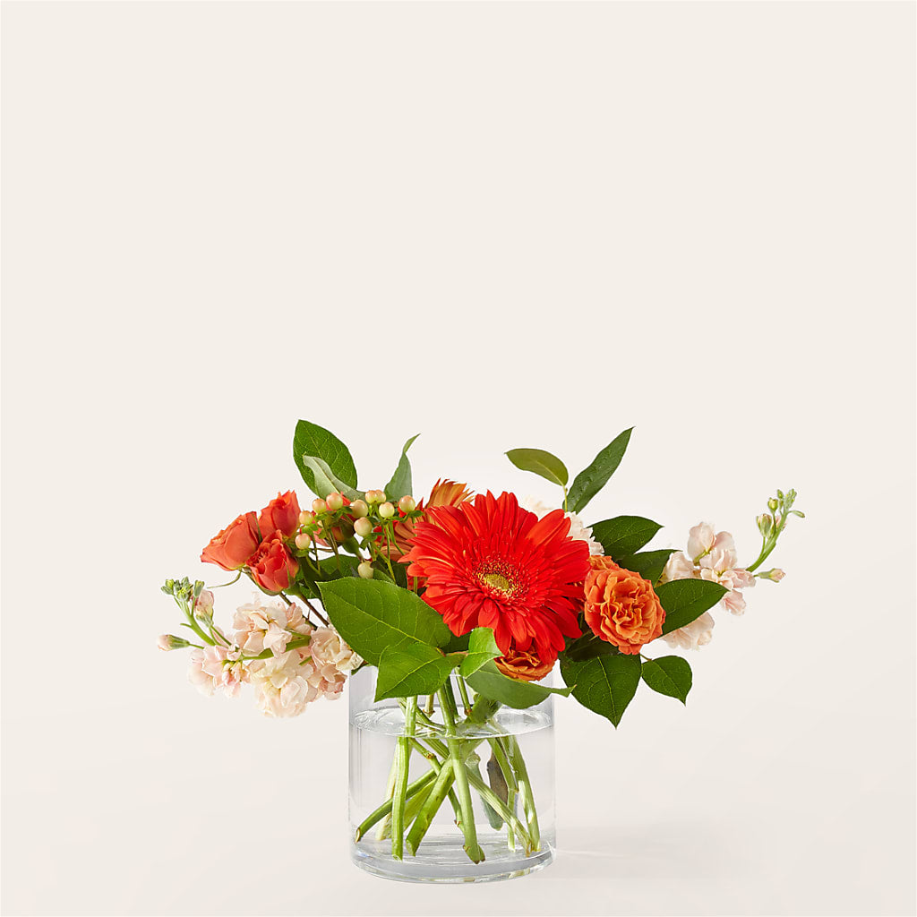 Paloma Please Bouquet – Tinys Flowers, Lansing IL
