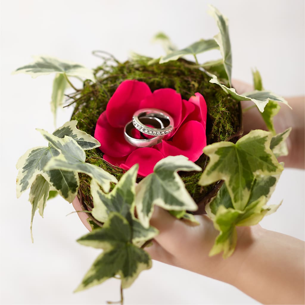 Lila Rose Ring Nest – Tinys Flowers, Lansing IL