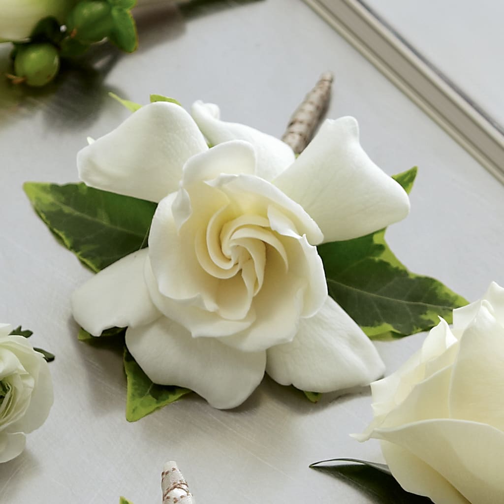 Gardenia Boutonniere – Tinys Flowers, Lansing IL