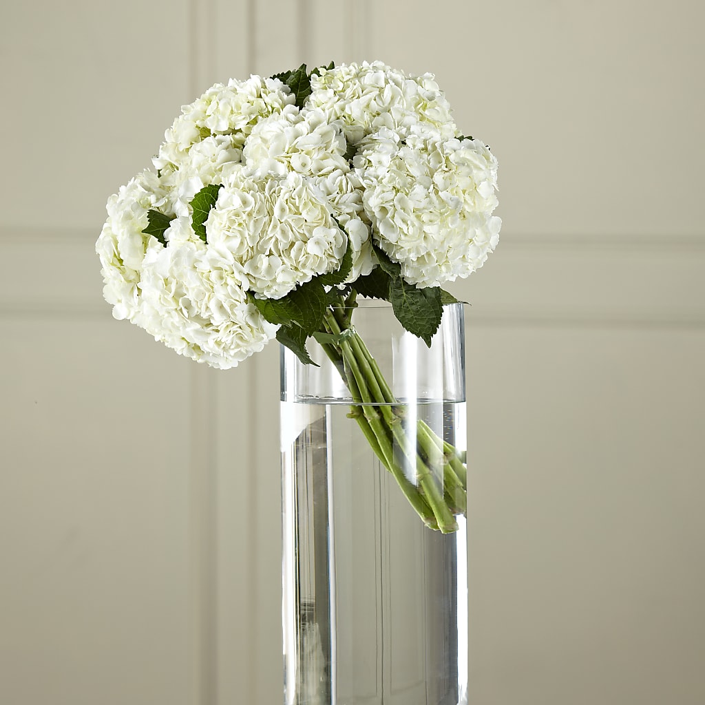 White Hydrangea Hand-Tied Bouquet – Tinys Flowers, Lansing IL