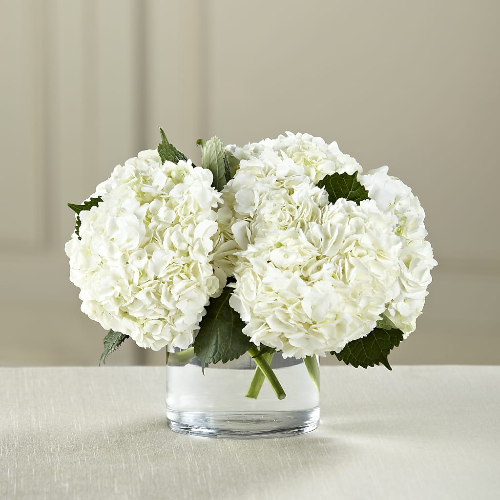 White Hydrangea Bouquet – Tinys Flowers, Lansing IL
