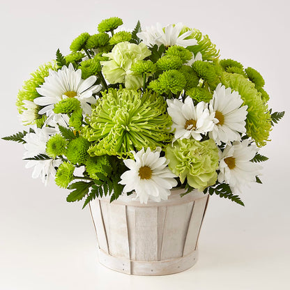 Lucky Charm Basket (Standard) –  Tinys Flowers, Lansing IL