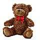 Adorable Plush Bear –  Tinys Flowers, Lansing IL