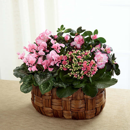 Pink Assortment –  Tinys Flowers, Lansing IL