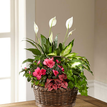 Dream in Pink Dishgarden –  Tinys Flowers, Lansing IL