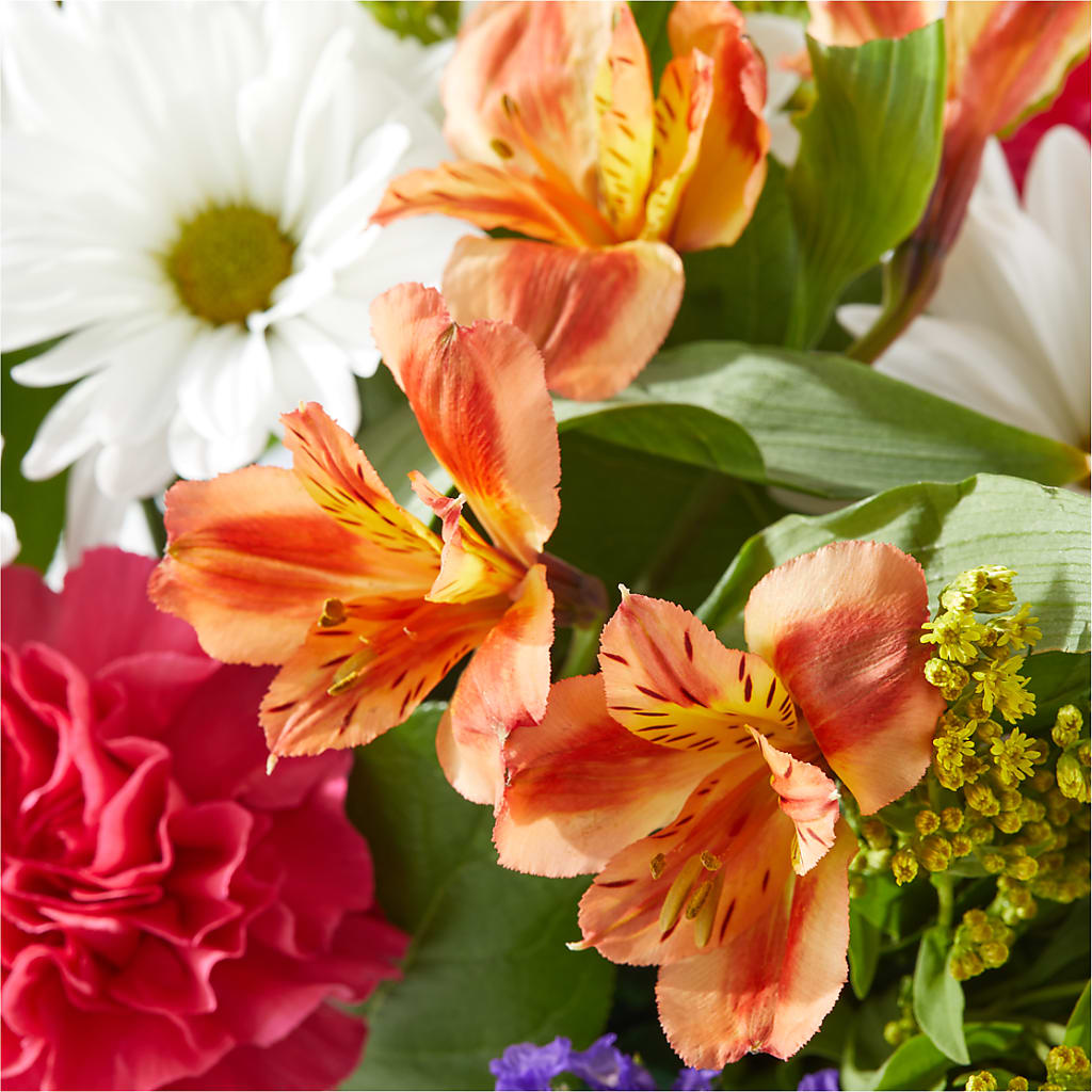 Oopsie Daisy Box Bouquet –  Tinys Flowers, Lansing IL