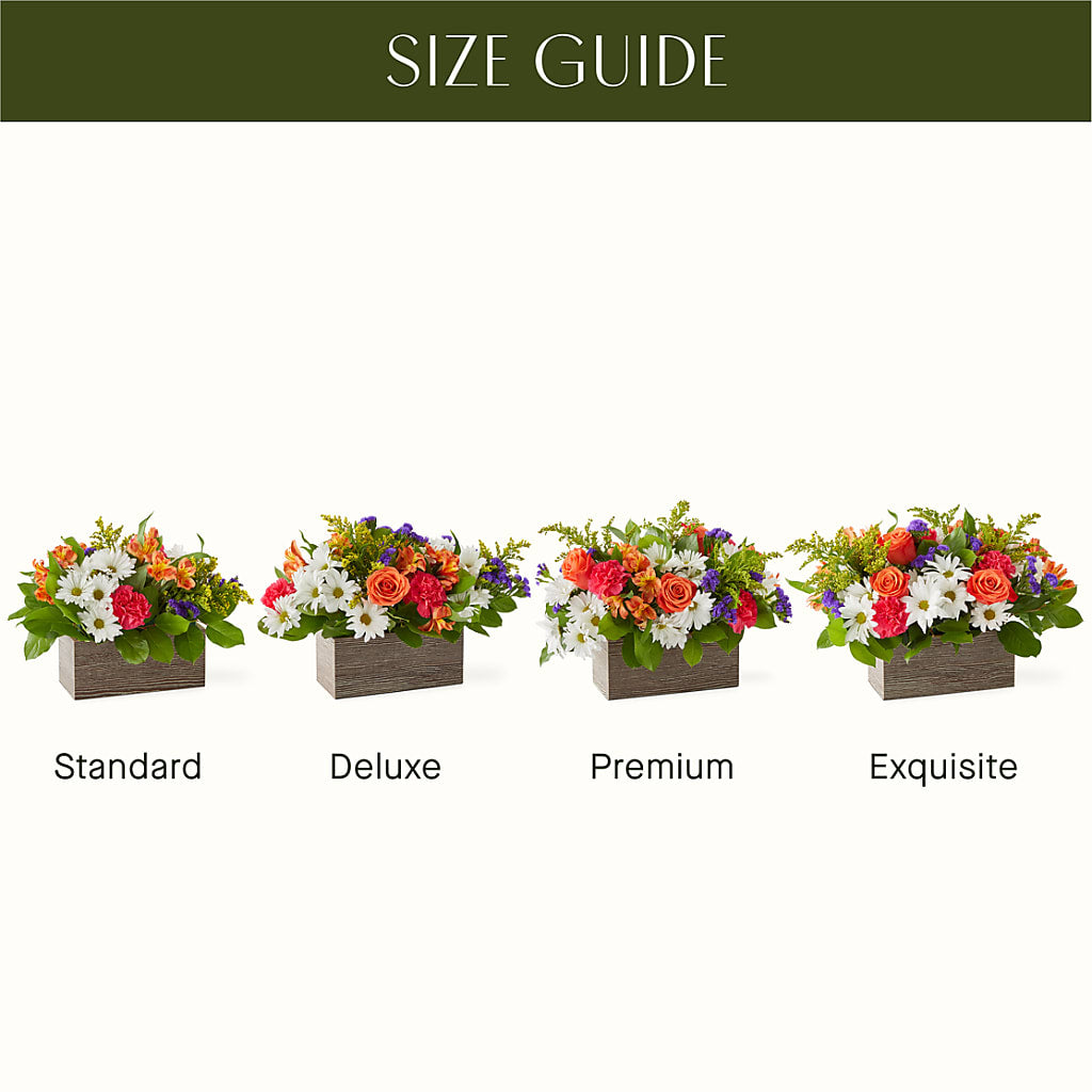 Oopsie Daisy Box Bouquet –  Tinys Flowers, Lansing IL