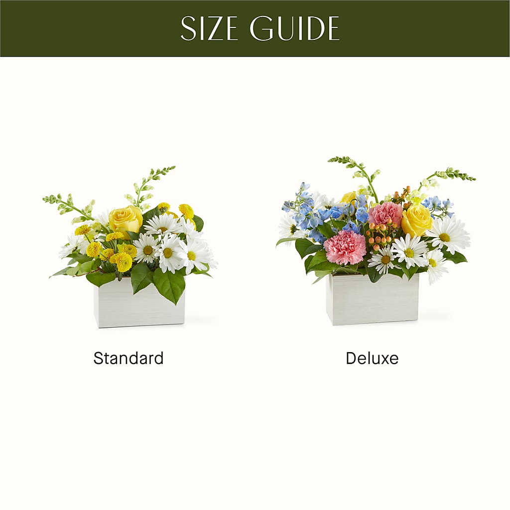 Sun Salutation Box Bouquet –  Tinys Flowers, Lansing IL