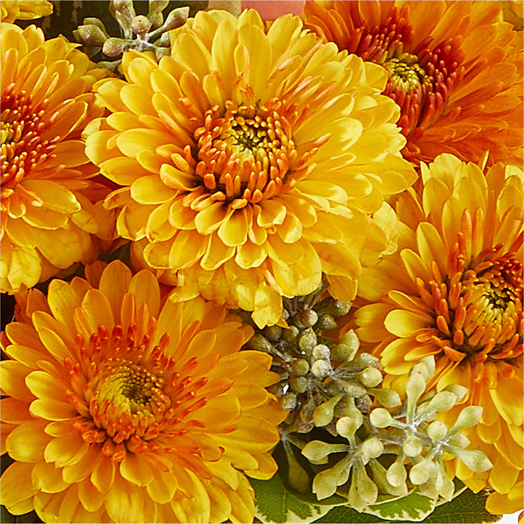 Peachy Pumpkin –  Tinys Flowers, Lansing IL