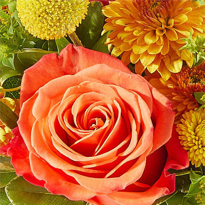 Gourdgeous Pumpkin –  Tinys Flowers, Lansing IL