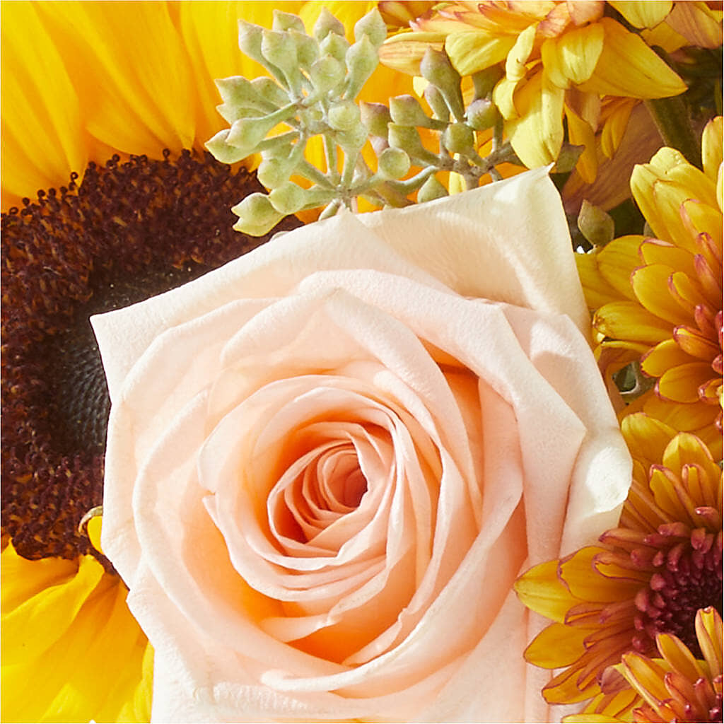 Pumpkin to Talk About Bouquet –  Tinys Flowers, Lansing IL
