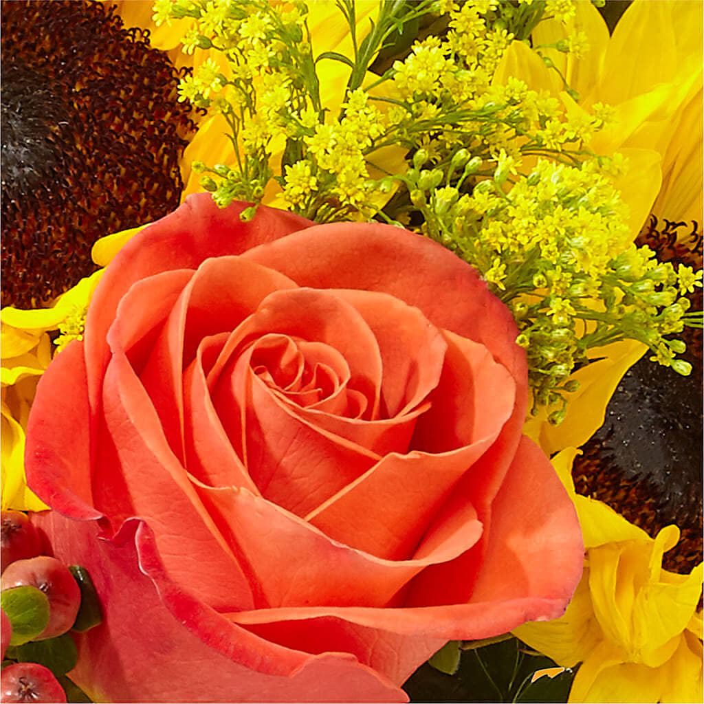 Pick of the Patch Pumpkin Bouquet –  Tinys Flowers, Lansing IL