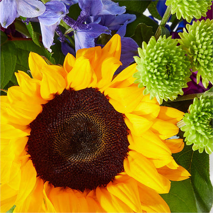Catching Rays Bouquet –  Tinys Flowers, Lansing IL