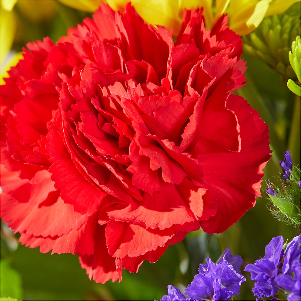 Brighter Days Bouquet –  Tinys Flowers, Lansing IL