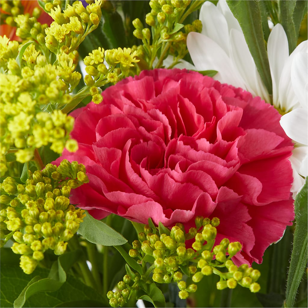 Oopsie Daisy Bouquet –  Tinys Flowers, Lansing IL