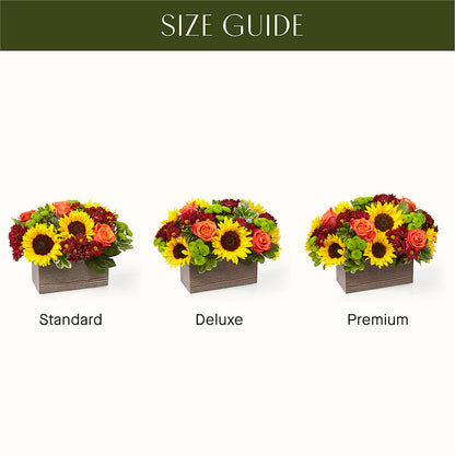 Happy Harvest Garden –  Tinys Flowers, Lansing IL