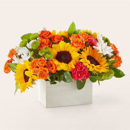Sun-drenched Blooms Box Bouquet –  Tinys Flowers, Lansing IL