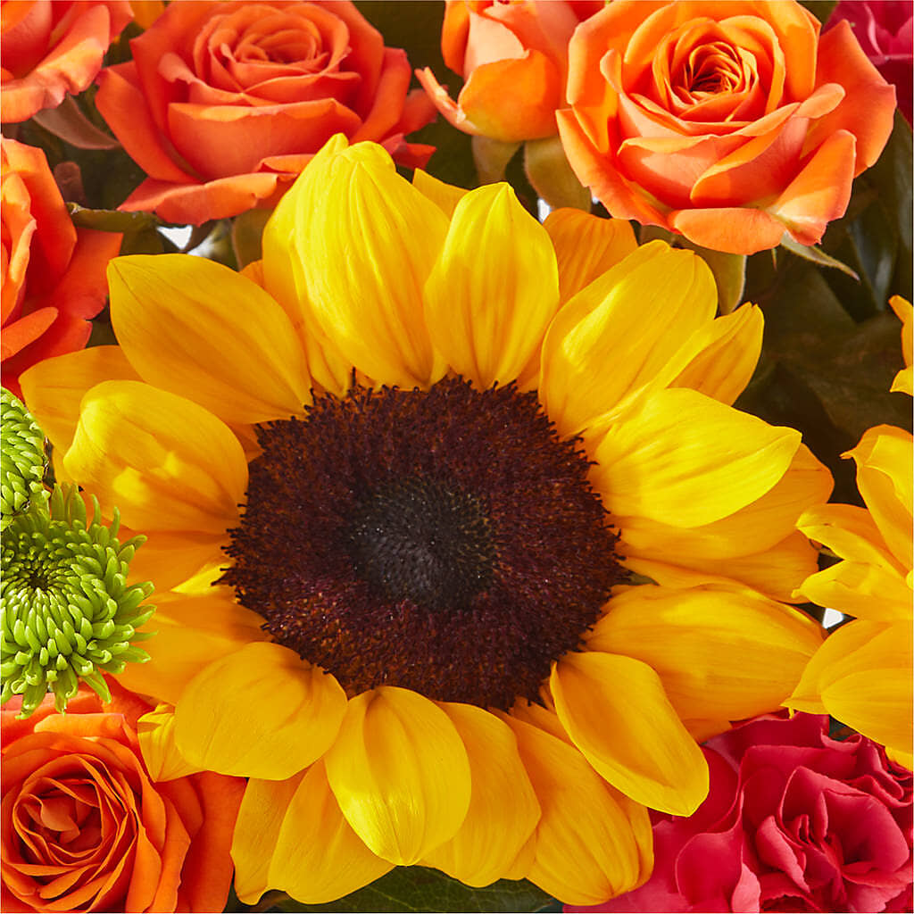 Sun-drenched Blooms Box Bouquet –  Tinys Flowers, Lansing IL