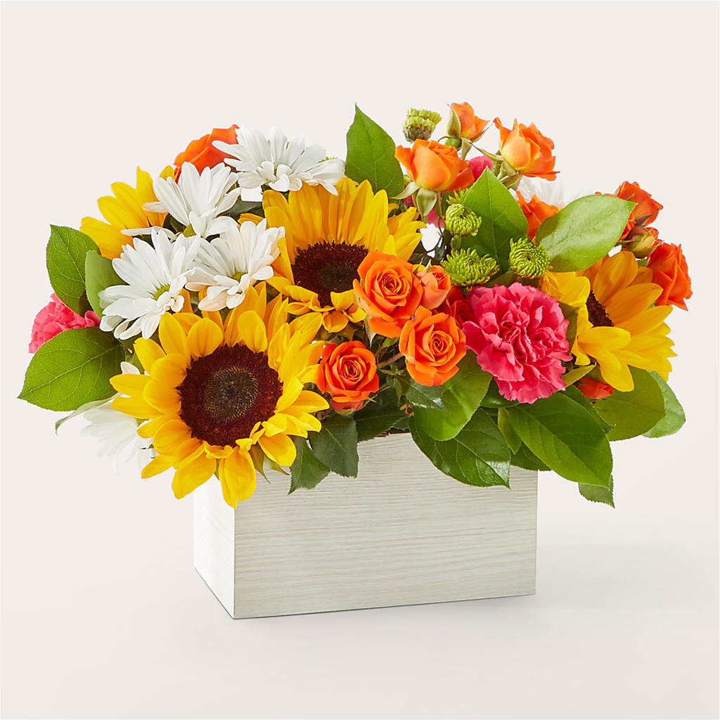 Sun-drenched Blooms Box Bouquet –  Tinys Flowers, Lansing IL