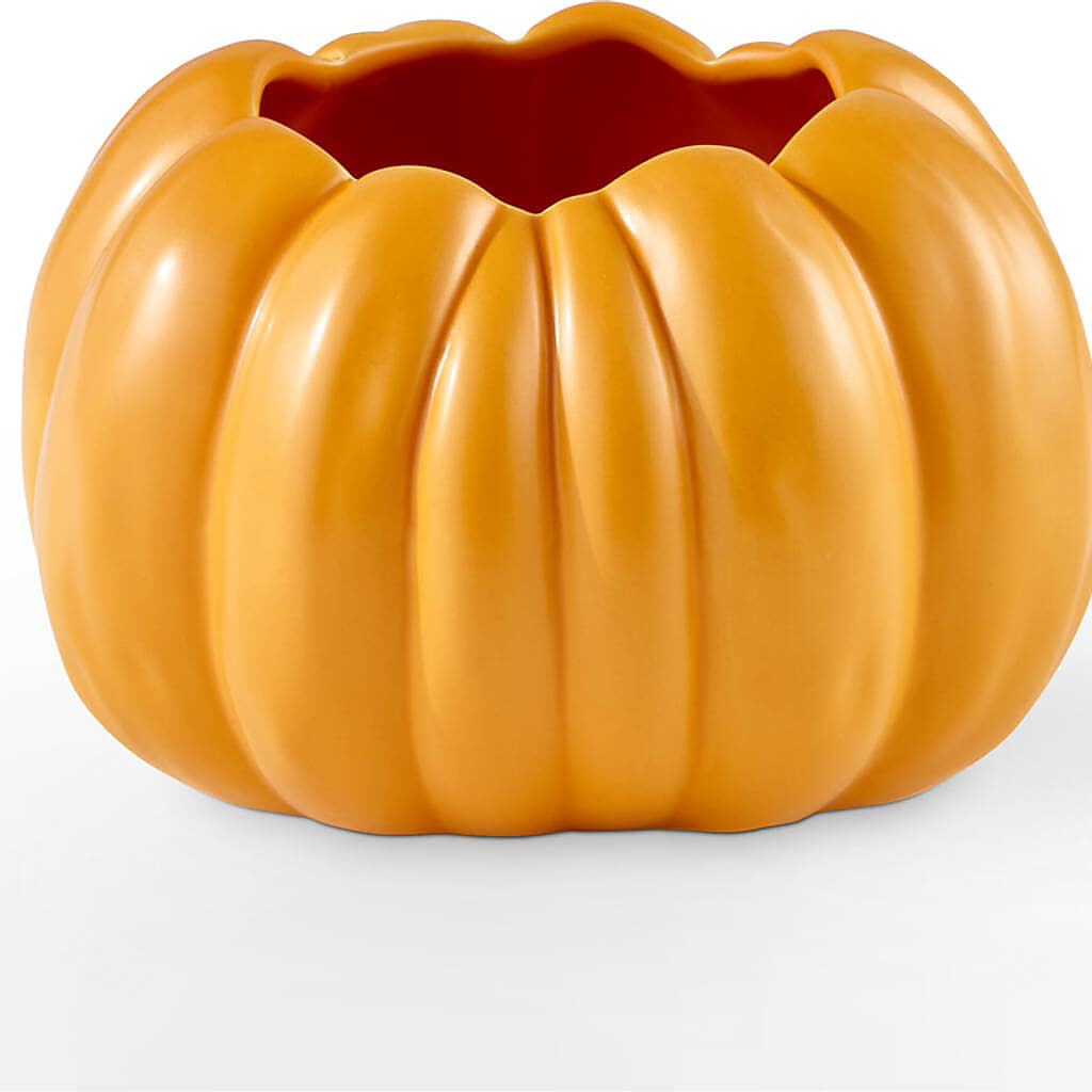 Golden Gourd Pumpkin Bouquet –  Tinys Flowers, Lansing IL