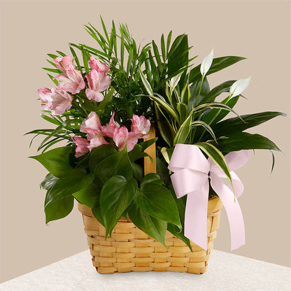 Living Spirit Dishgarden –  Tinys Flowers, Lansing IL