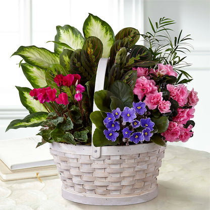 Peaceful Garden Planter –  Tinys Flowers, Lansing IL