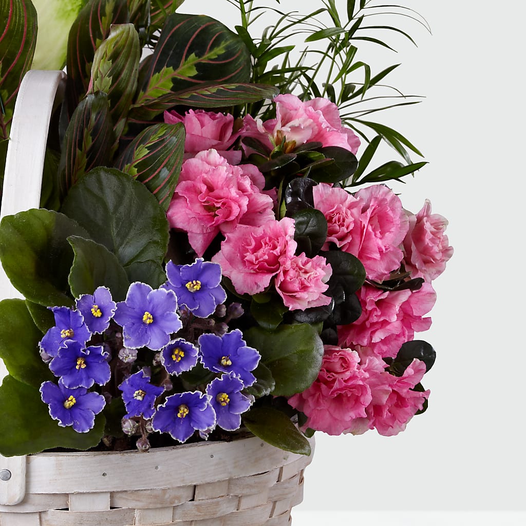 Peaceful Garden Planter –  Tinys Flowers, Lansing IL