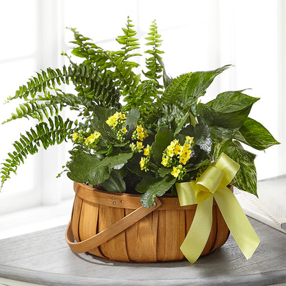 Always Dear Dishgarden –  Tinys Flowers, Lansing IL