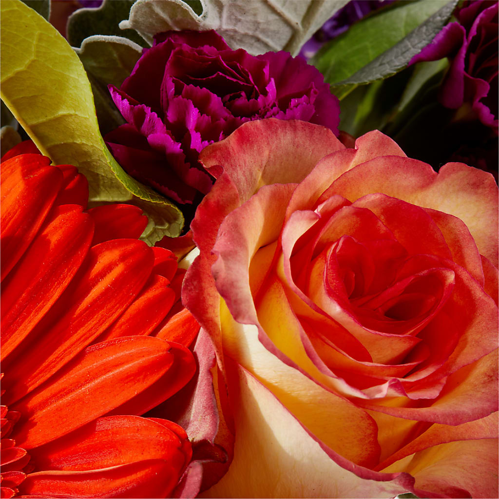 Sangria Bouquet –  Tinys Flowers, Lansing IL