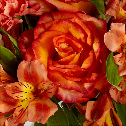 Apricot Glow Bouquet –  Tinys Flowers, Lansing IL