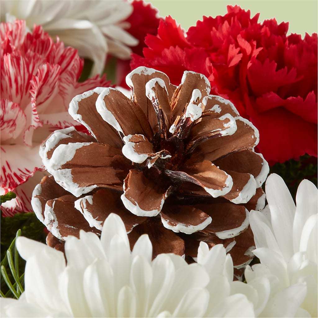 Candy Cane Lane Bouquet –  Tinys Flowers, Lansing IL