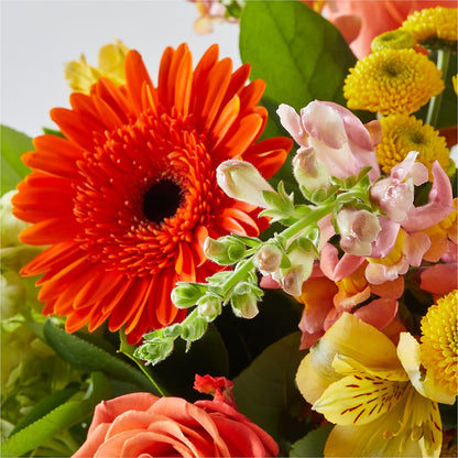 Autumn Sunshine Bouquet –  Tinys Flowers, Lansing IL