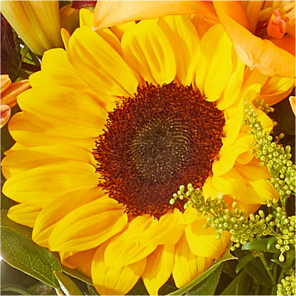 Seasons Change Bouquet –  Tinys Flowers, Lansing IL