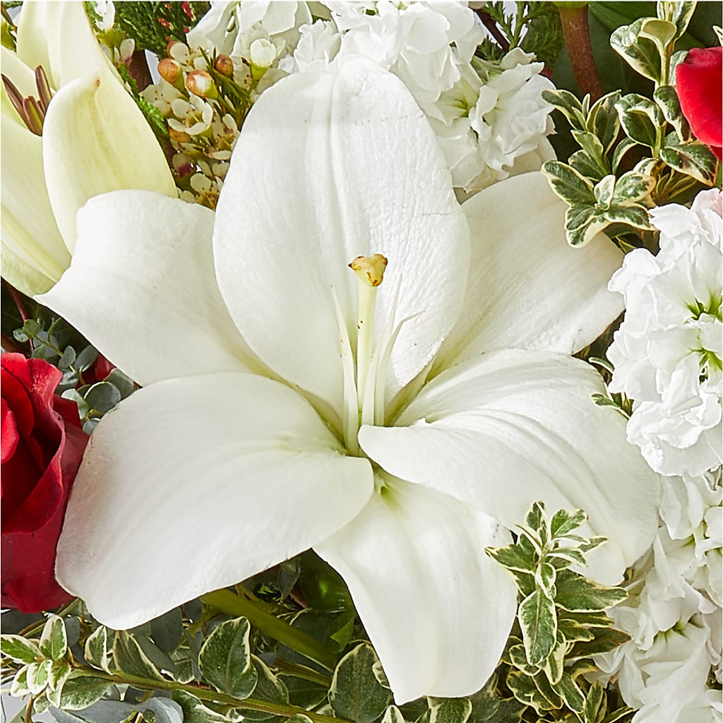 Twinkle Lights Bouquet –  Tinys Flowers, Lansing IL