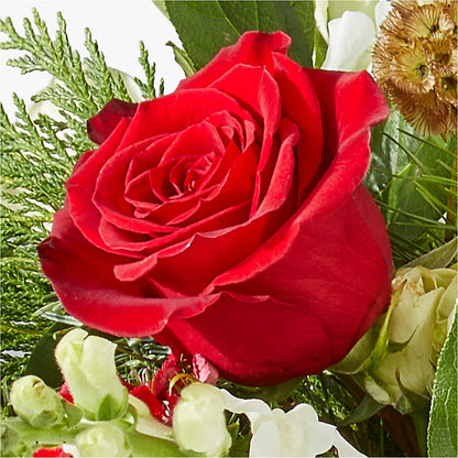 Deck the Halls Bouquet –  Tinys Flowers, Lansing IL