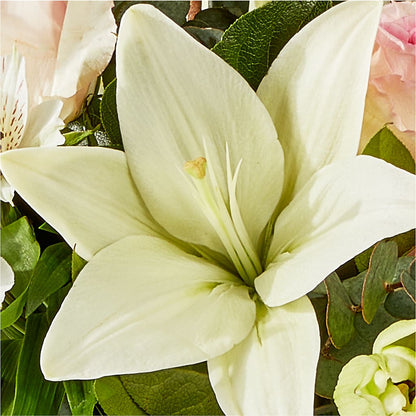 Ballet Slippers Bouquet –  Tinys Flowers, Lansing IL