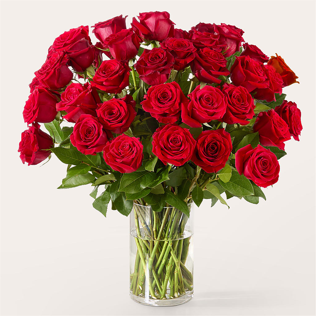 The One Red Rose Bouquet –  Tinys Flowers, Lansing IL