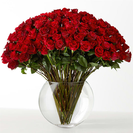 The Idealist –  Tinys Flowers, Lansing IL