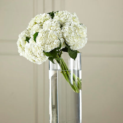 White Hydrangea Hand-Tied Bouquet –  Tinys Flowers, Lansing IL